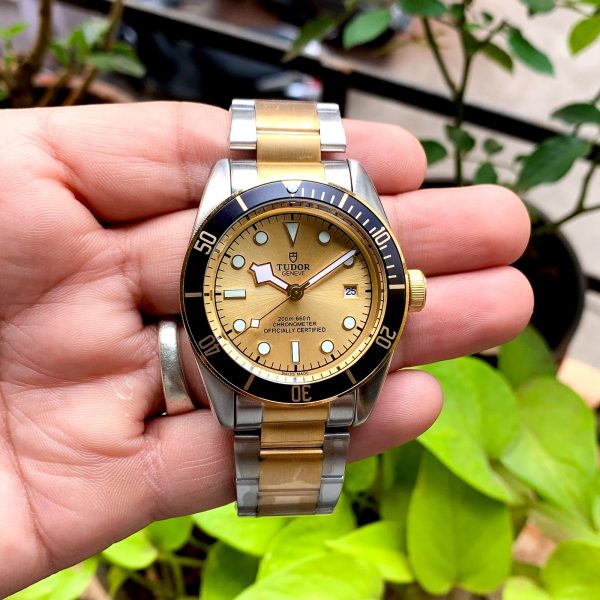 Audemars Piguet Perpetual Calendar Salmon Dial 42mm - gallery