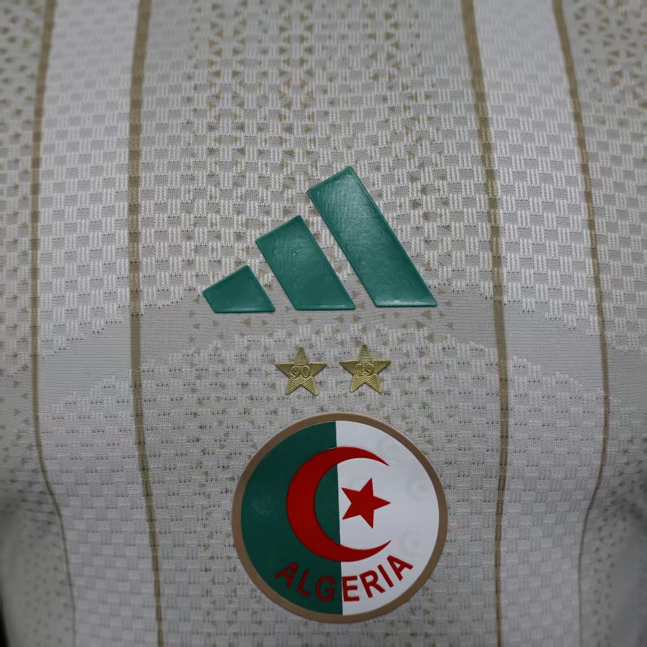 2026 Algeria Home World Cup Soccer Jersey - view 6