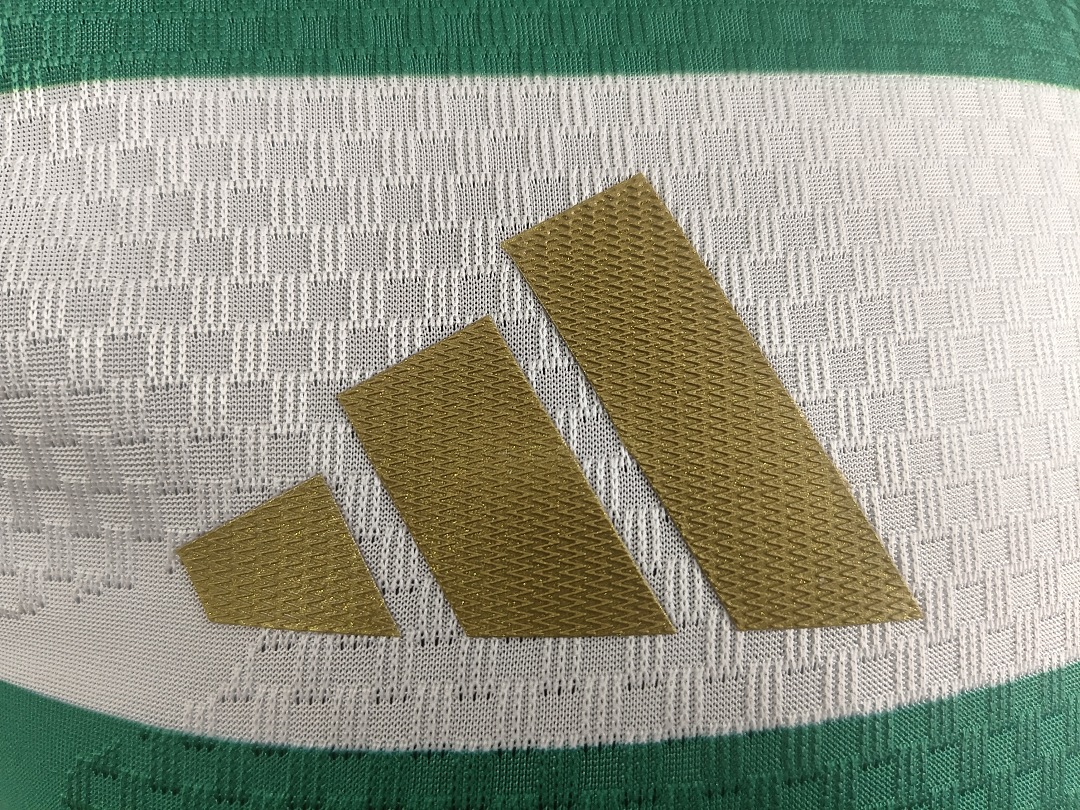 26-27CelticHome - view 4